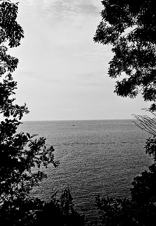 FILM