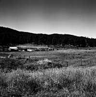 7547_B3P1_4_BW_SQ_MT_01_2.jpg