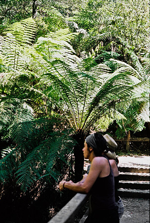 3906_FM_BOX_I_COLOR_35MM_NSM_AUSTRALIA_2008_34