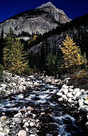 06830_B19_SL_COLOR_LAKE_MORAINE_TO_PEY_TO_LAKE_BOW_SUMMIT_BANFF_NAT_PARK_BC_WS_97_01.jpg