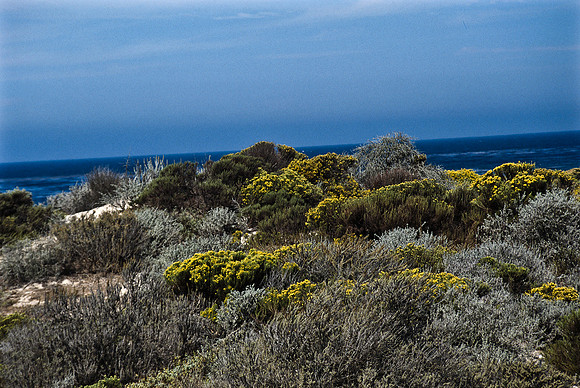47938_B17_SL_COLOR_17M_DRIVE_CA_97_ CARMEL_CA_97_14.jpg