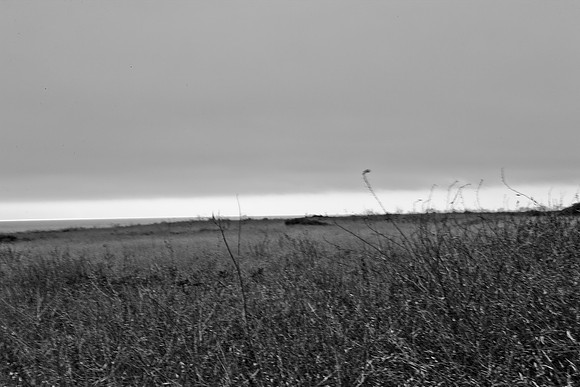 5L8Y0547