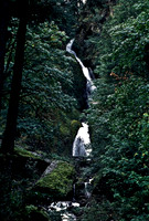 47948_B18_SL_COLOR_BROOKINS_OR_97_08.jpg