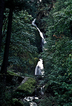 47948_B18_SL_COLOR_BROOKINS_OR_97_08.jpg