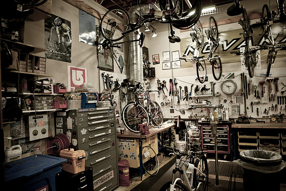 0024_DG_Corta_Madera_CA_USA_20095L8Y0231