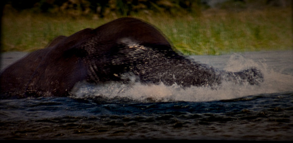 2905_DG_Lincoln_Road_Mouvie_Earth_Maimi_Beach_FL20090426-5L8Y6913