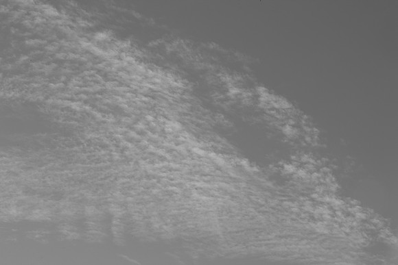 0031_La_Arizona_5L8Y5183