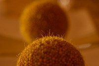 2512_City_Place_Related_Instalation__MG_9290