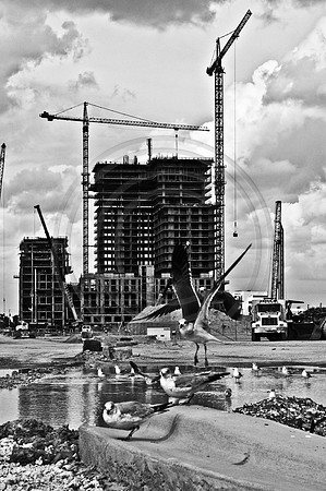 MDT33137_DG_DSC_MIDTOWN_BW_0975