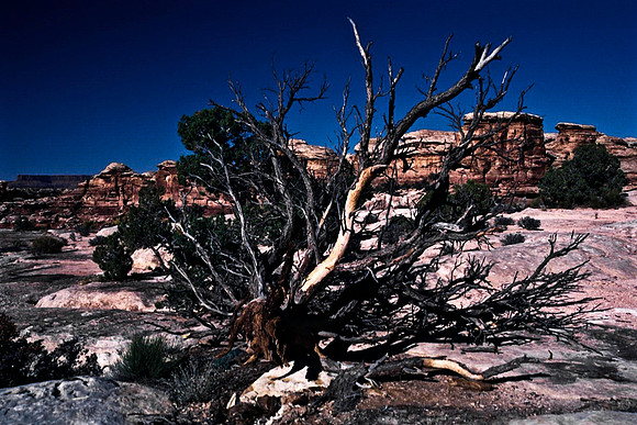 06791_B10_SL_COLOR_CANYONLAND_NAT_PARK_UT_97_06.jpg