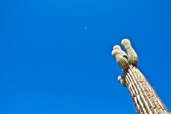 0031_La_Arizona_5L8Y5455