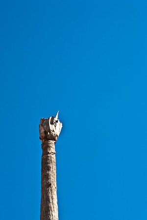 3452_DG_Biltmor_Hotel_Coral_Gables_Miami_FL_5L8Y0211