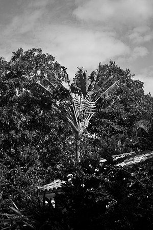0040_Fisher_island_Beach_Club_Construction_Miami_FL_DG_5L8Y1827
