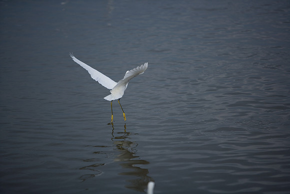 85545_ZV4N_7158_Miami_To_Sanibel_Island_FL