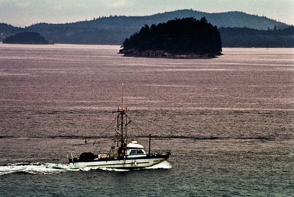 2547_SL_BOX_I_COLOR_OVKA_VICTORIA_CANADA_14