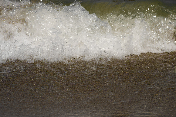 85766_FL_DG_IMG_2819
