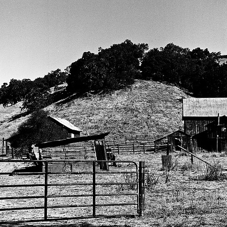 6036_FM_BW_PASO_ROBLES_CA_05_4.jpg