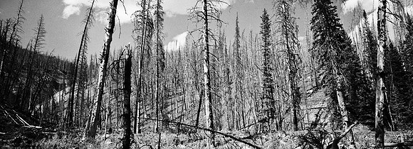 7551_FM_BW_XPAND_AZ_01_1.jpg