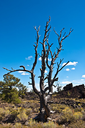 0020_Wyonming_To_Ketchem_Sun_Valley_ID_5L8Y7815