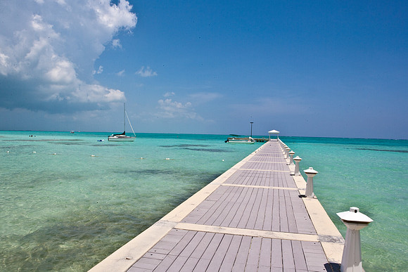 3876_DG_Cayman_Island_Caribbean_ZV4N0528