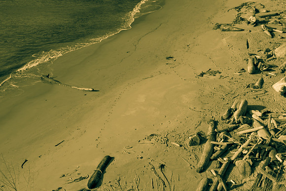 5L8Y0775