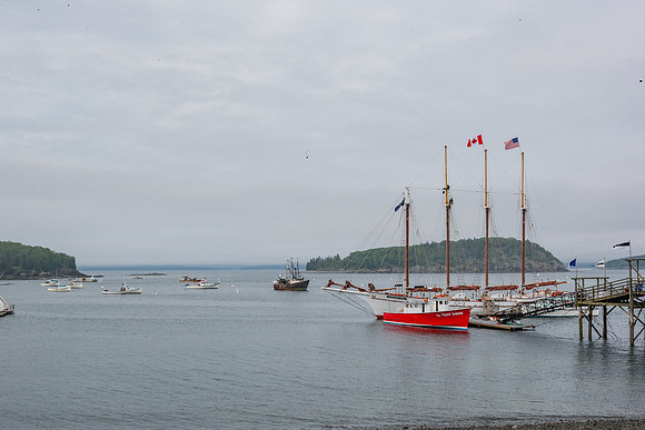 20060627_Maine_ZV4N0995