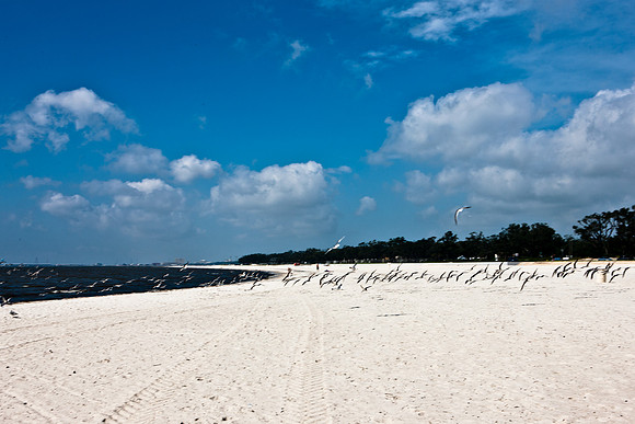 0036-NEW_ORLEANS_TO_PANAMA_CITY_BEACH_5L8Y1140