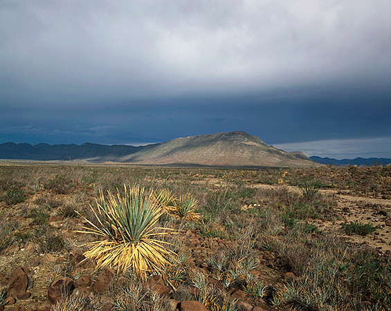 4000_20080719_ADS_Mexican_Landscape_Mexico_P065
