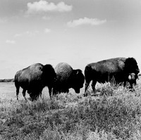2453_B4P2_BW_SQ_KANSAS_02_4.jpg