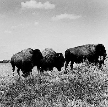 2453_B4P2_BW_SQ_KANSAS_02_4.jpg