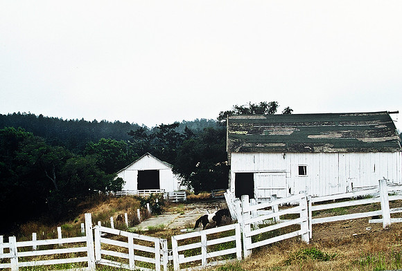 47390_B3_SL_COLOR_SURROUNDINGS_NE_97_10.jpg