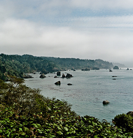 6045_FM_COLOR_SQ_CALIFORNIA_USA_05_10.jpg