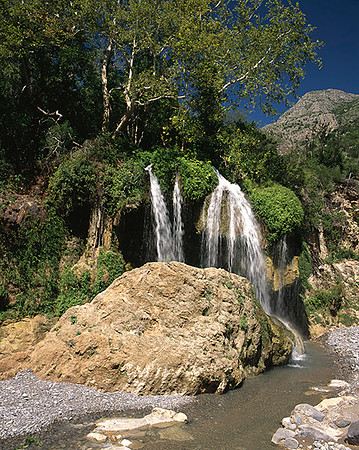 4000_20080719_ADS_Mexican_Landscape_Mexico_155