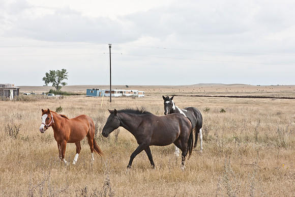 0044_North_Dacota_Fargo_to_South_Rapid_City_TO_CHEYENNE_5L8Y4148