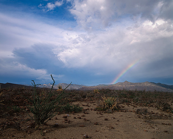 4000_20080719_ADS_Mexican_Landscape_Mexico_138