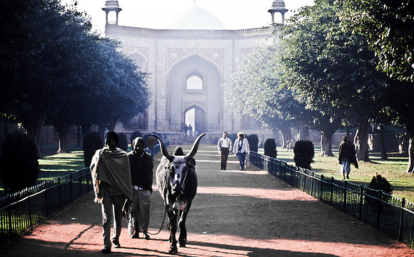 47304_SL_COLOR_INDIA_1987_8