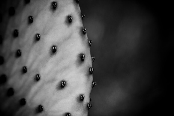 0031_La_Arizona_5L8Y5583