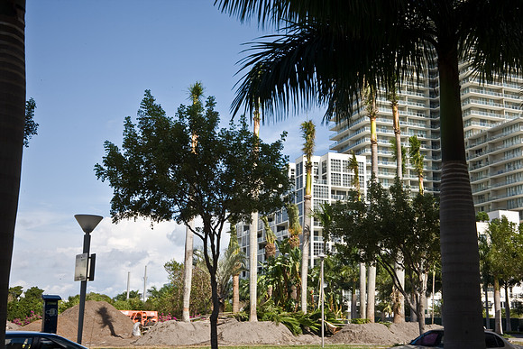 3104_DG_Midtown_Park_Instalation_Basel_Miami_FL_5L8Y7446