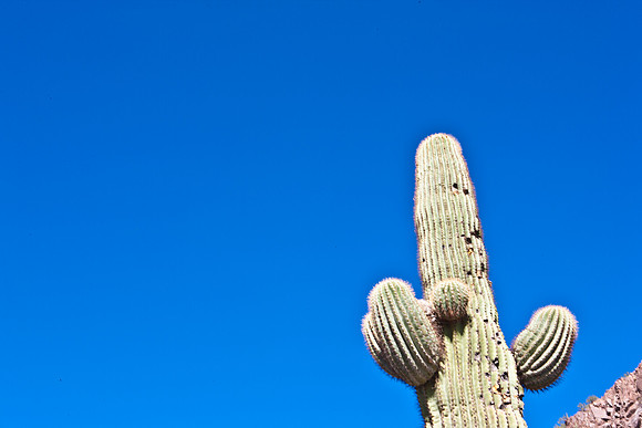 0031_La_Arizona_5L8Y5440