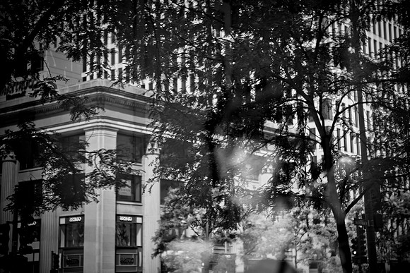 0015_DG_Chicago_USA_2009_5L8Y2430-2