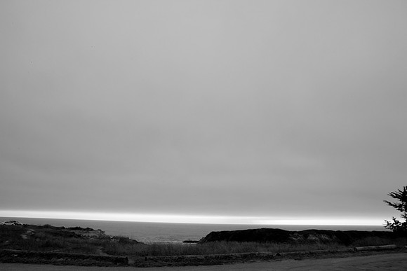 5L8Y0644