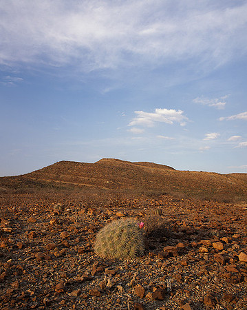 4000_20080719_ADS_Mexican_Landscape_Mexico_108