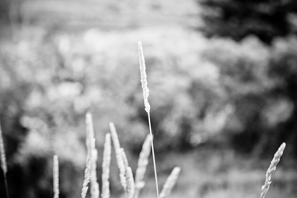 0019_Aspen_To_Jackson_Hole_Wyoming_5L8Y7114-2