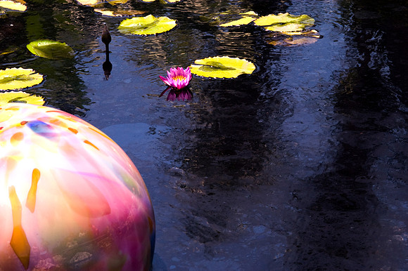 84775_DSC_0095_Fairchild_Garden_Miami_FL_USA