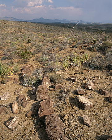 4000_20080719_ADS_Mexican_Landscape_Mexico_176