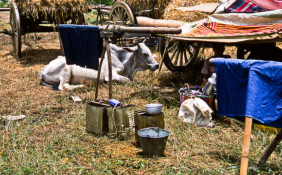 3489_SL_COLOR_AROUND_THE_WORLD_IN_8_MONTHS_APRIL_2000