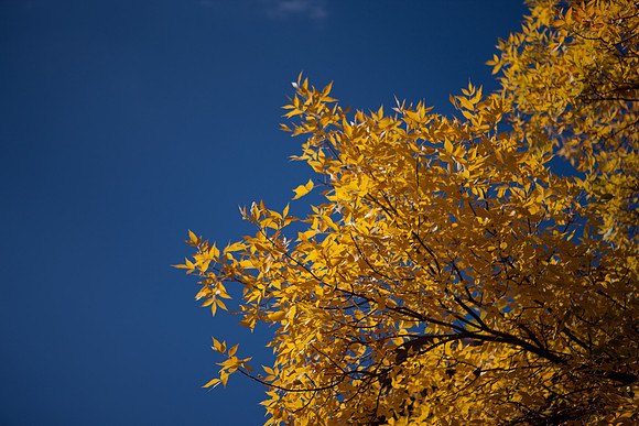 20080829_DVD15_DG_USA_Aspen_2237_full_blead