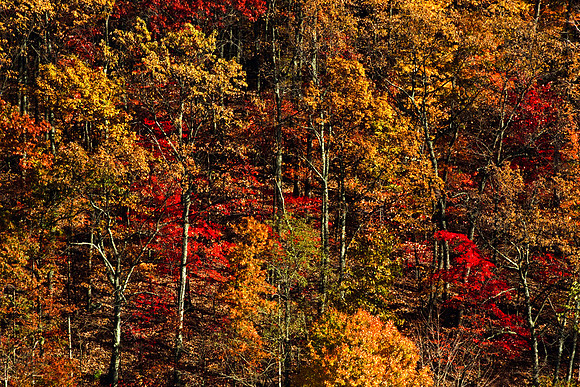 0258_FM_COLOR_MINESOTA_99_68.jpg