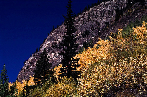 06833_B19_SL_COLOR_SASKATCHEWAN_RIVER_CROSSING_ICEFIELD_HWY93_TO_JASPER_BC_WS_97_17.jpg