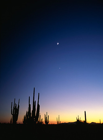 4000_20080719_ADS_Mexican_Landscape_Mexico_146